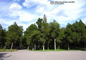 Pekin Jingshan 10